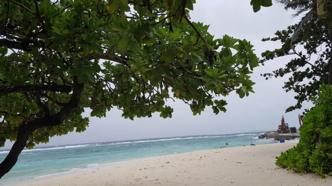 Discover Vilimale: A Peaceful Day Escape Just 10 Minutes by Ferry from Malé